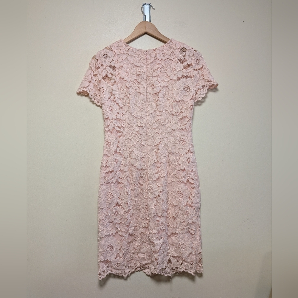 Lauren Ralph Lauren Blush Floral Lace Sheath Dress | Size 6 - Picture 7 of 7